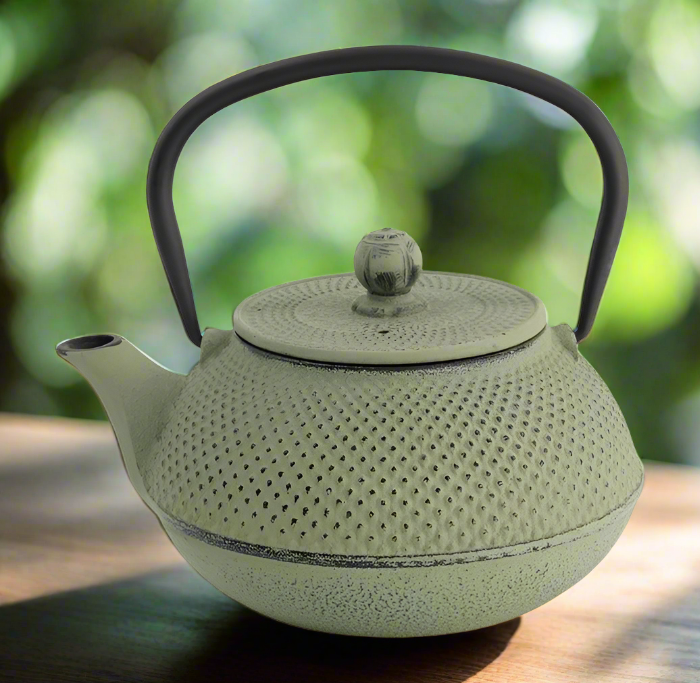 Tokyo Design Studio WY Iron Stovetop Kettle Arare - Green/Grey (0.8L)