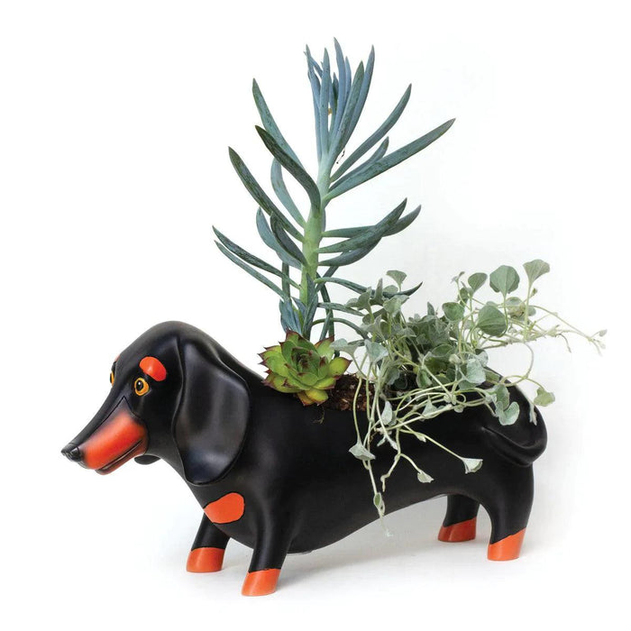 Allen Design Otis Planter | {{ collection.title }}