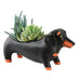 Allen Design Otis Planter | {{ collection.title }}