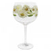 Ginology Daisy Copa Cocktail Glass | {{ collection.title }}