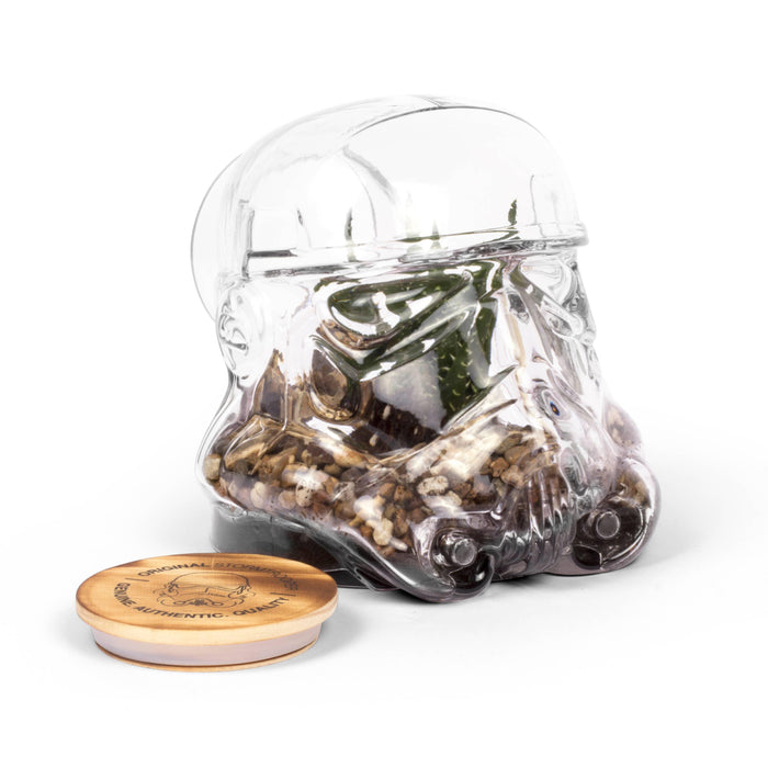 ThumbsUp! - Original Stormtrooper Terrarium / Cookie Jar | {{ collection.title }}